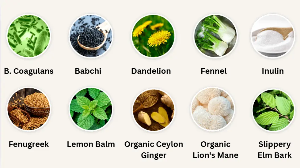 PrimeBiome Real Ingredients Image