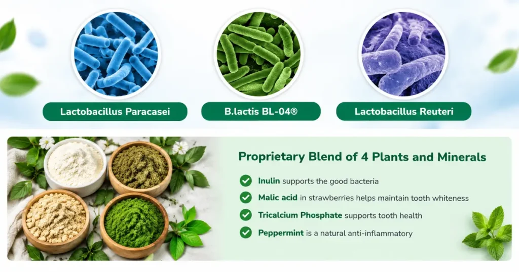 ProDentim Real Ingredients Image (2)