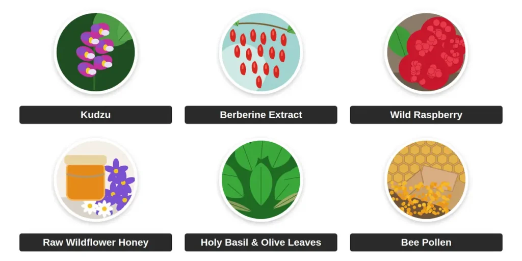 HoneyBurn Real Ingredients Image