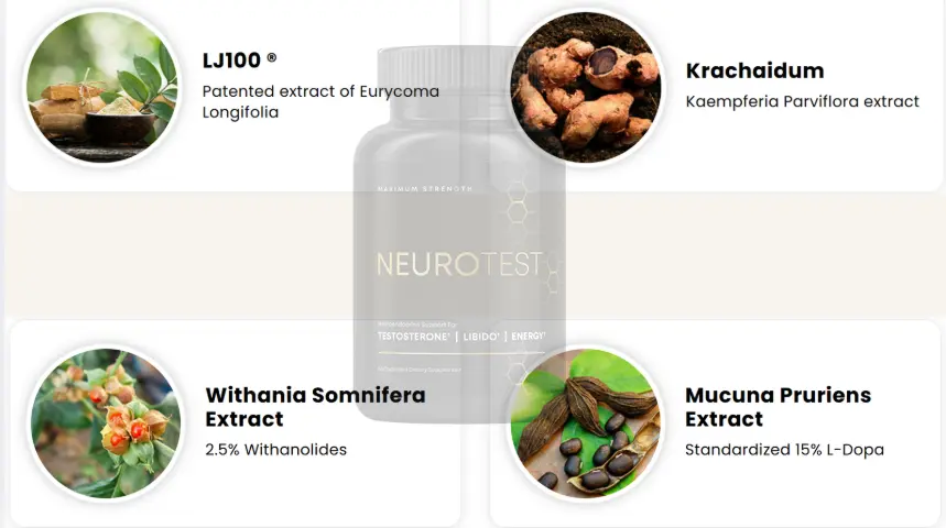 NeuroTest Ingredients Image